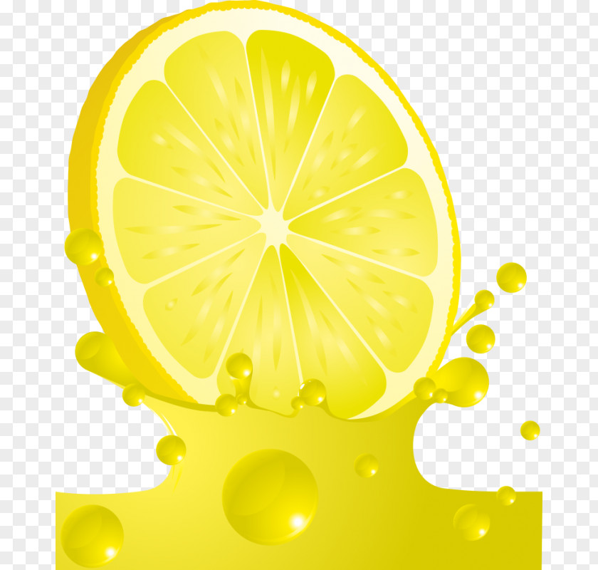 Lemon Lemon-lime Drink Juice PNG