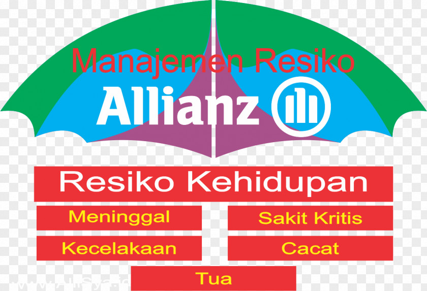 Penting Insurance Risk Management Allianz PNG