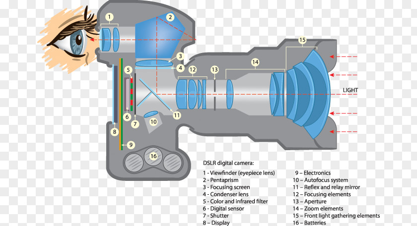 Camera Digital SLR Cameras Single-lens Reflex Photography PNG