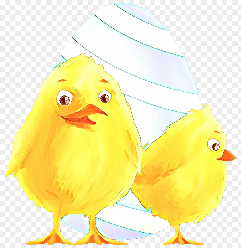 Clip Art Chicken As Food Beak Feather PNG