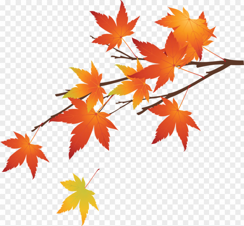 Hand Made Autumn Leaves 2 Maple Leaf PNG