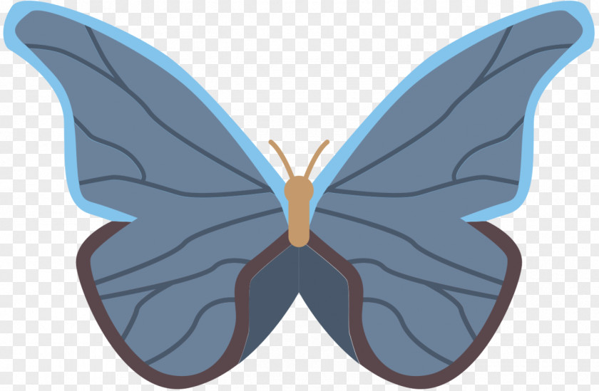 M. Butterfly Moth Purple Symmetry Cartoon PNG