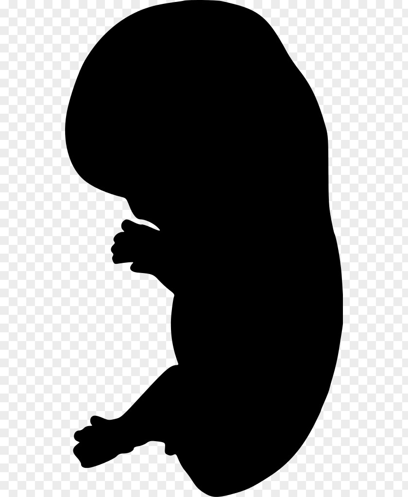 Silhouette Embryo Clip Art PNG