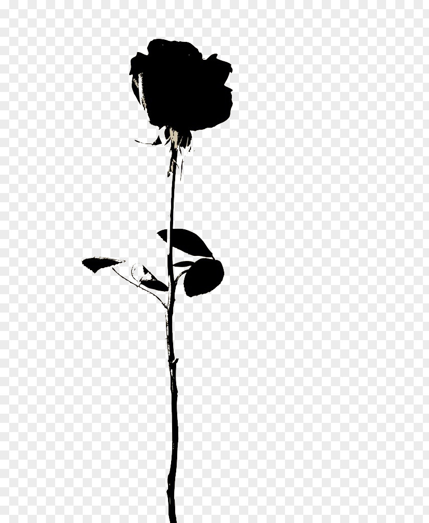 A Black Rose Flower Icon PNG