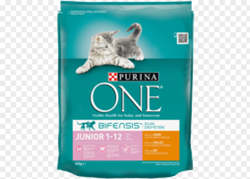 Cat Food Kitten Purina One Dog PNG