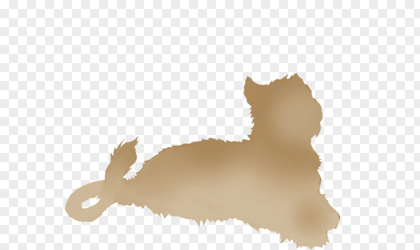 Cat Lion Dog Desktop Wallpaper Snout PNG