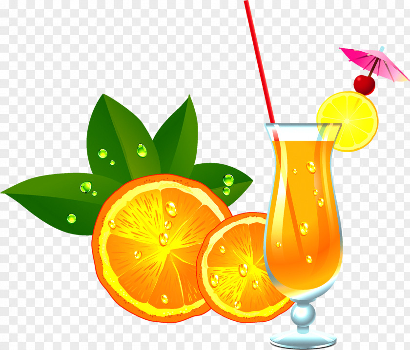 Cocktail Orange Juice PNG