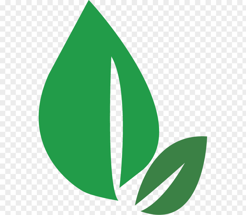 Contraindications Logo Leaf Angle Font Brand PNG