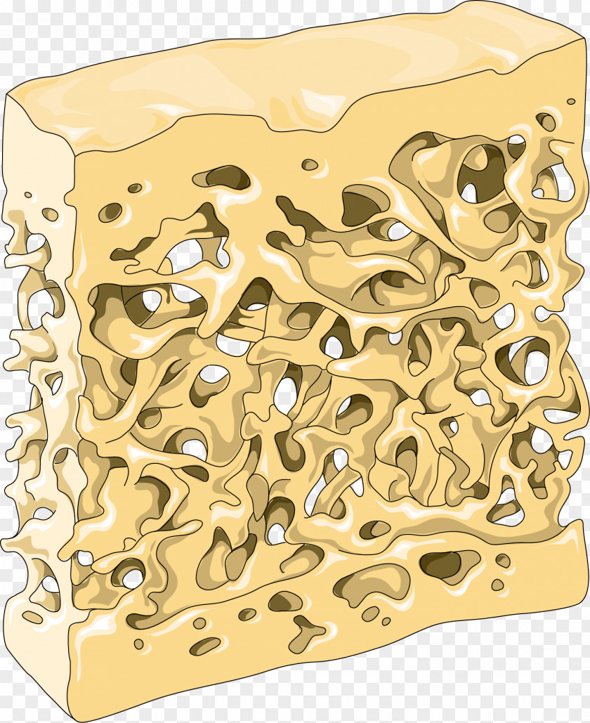 Gold 01504 Material PNG