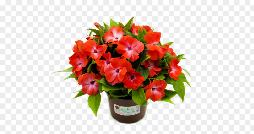 Orange Orchid Floral Design 野田麗花園 Flower Bouquet Florist PNG