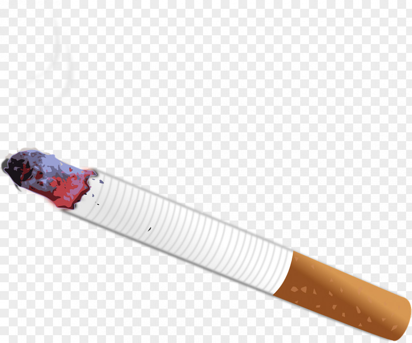 Cigarette End Case Stock.xchng Clip Art PNG