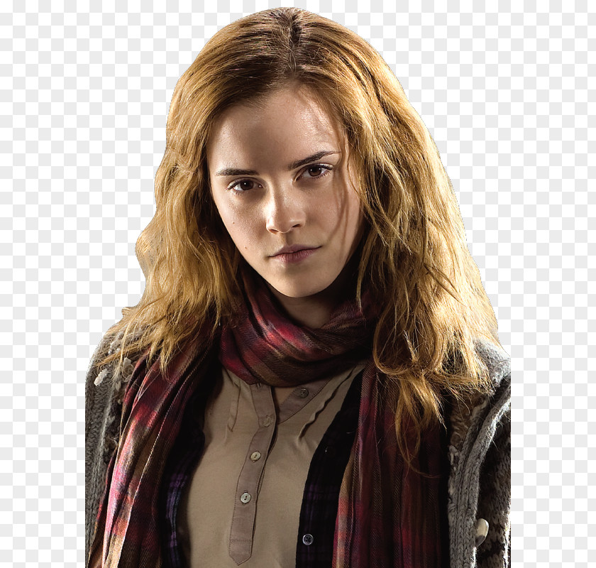 Emma Stone Watson Hermione Granger Harry Potter And The Philosopher's Ron Weasley Draco Malfoy PNG