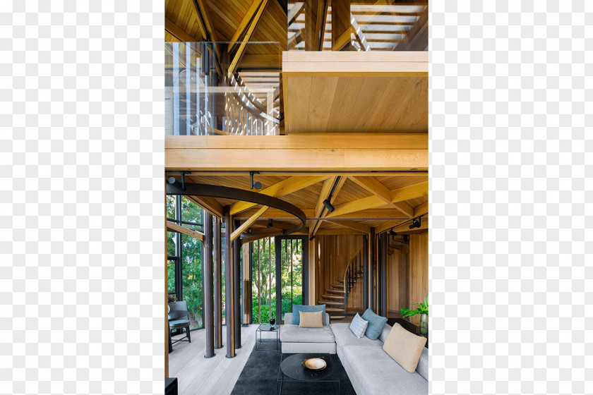 House Malan Vorster Architecture Interior Design Tree Building PNG