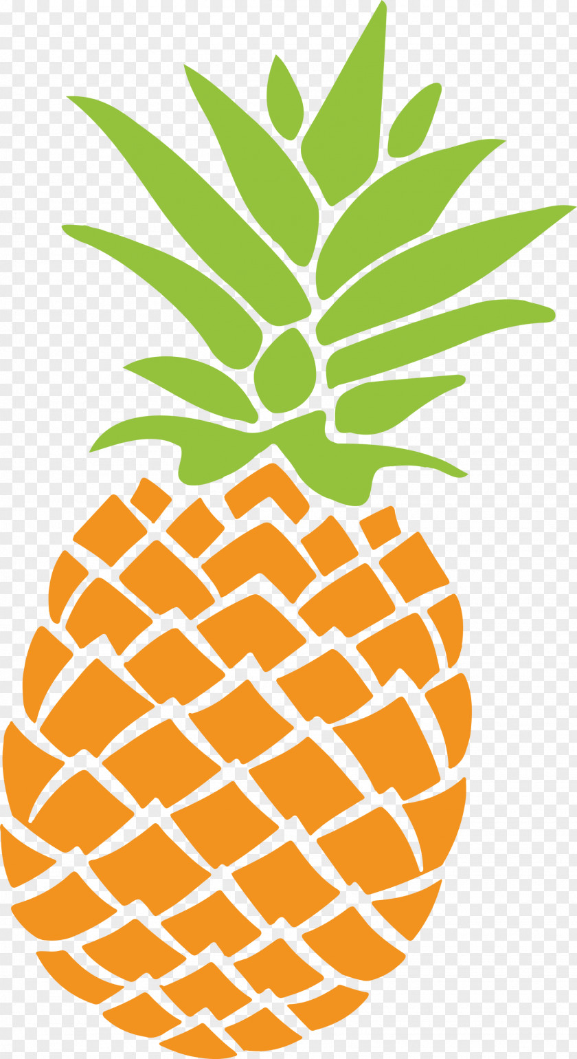 Pineapple Tropical Summer PNG