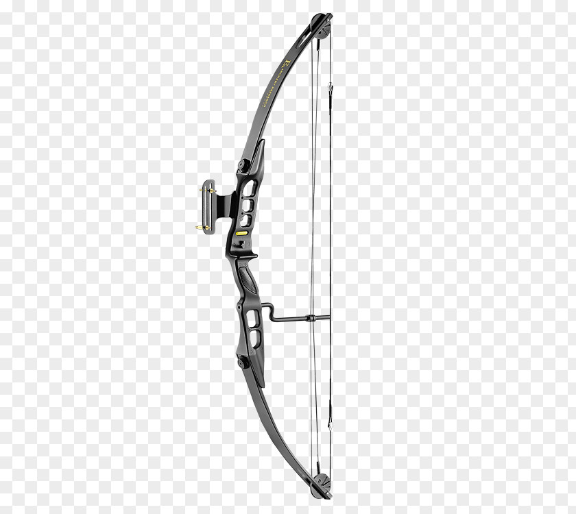 Arrow Compound Bows Bow And Archery PNG