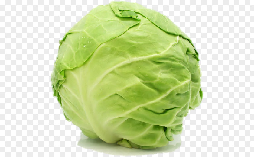 Cabbage Free Image Red Brussels Sprout Napa Cellophane Noodles PNG