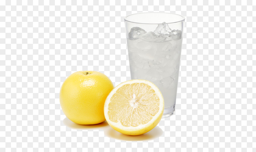 Grapefruits Lemon Juice 原風景 Kayabuki No Sato Fruit PNG