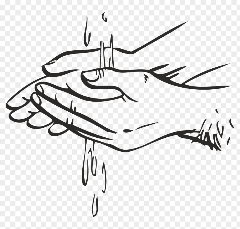 Hand Thumb Illustration Washing PNG