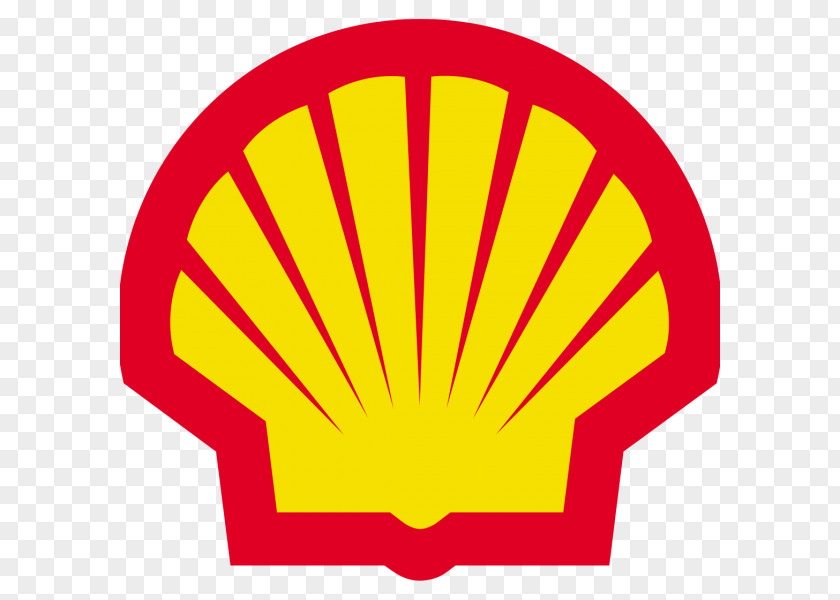 NYSE:RDS.B Royal Dutch Shell Petroleum Natural Gas PNG