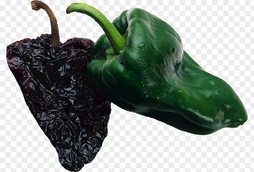 Poblano Bell Pepper Pasilla Chili Capsicum Annuum PNG