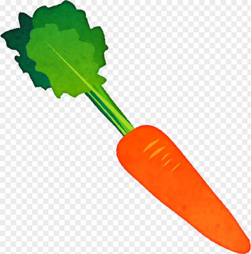 Vegetable PNG