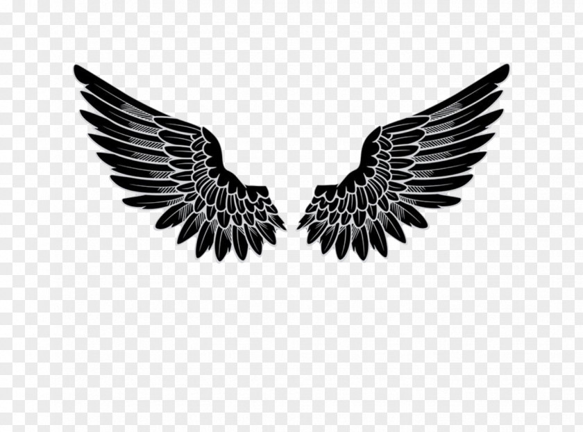 Wings Logo Angel PNG