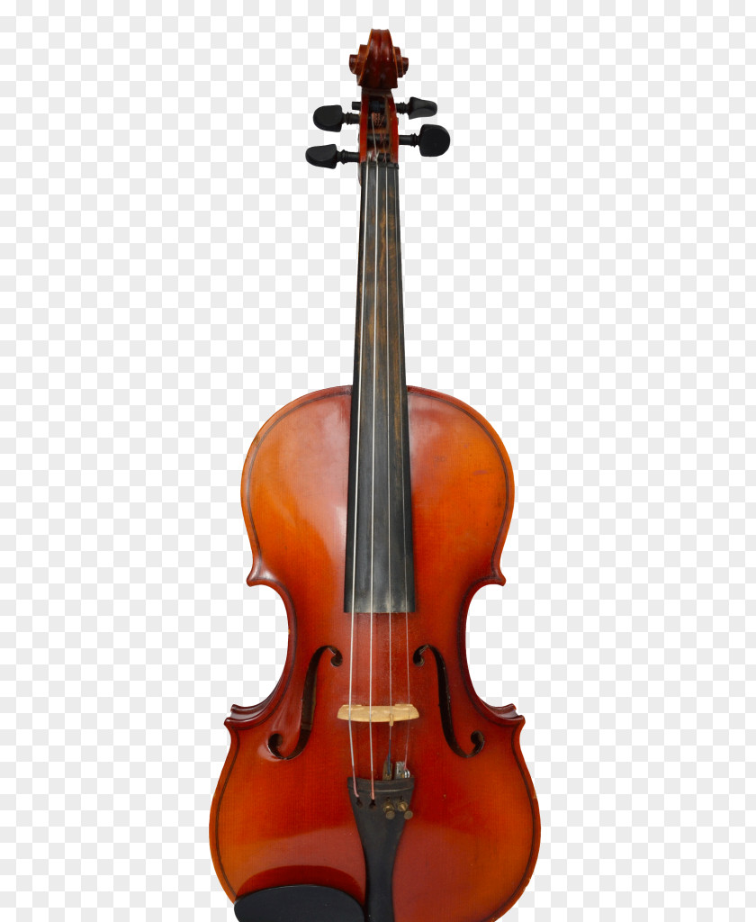 Beautiful Violin String Instruments Musical Luthier Cello PNG
