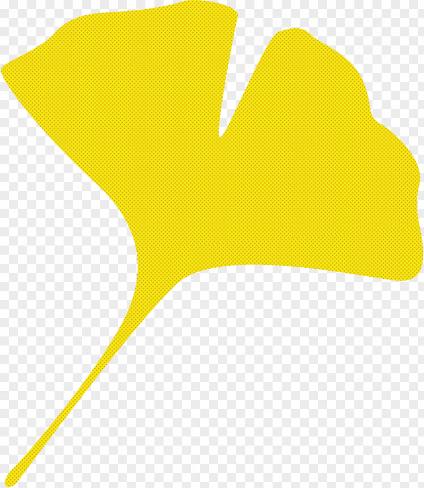 Ginkgo Leaf Gingko Maidenhair PNG