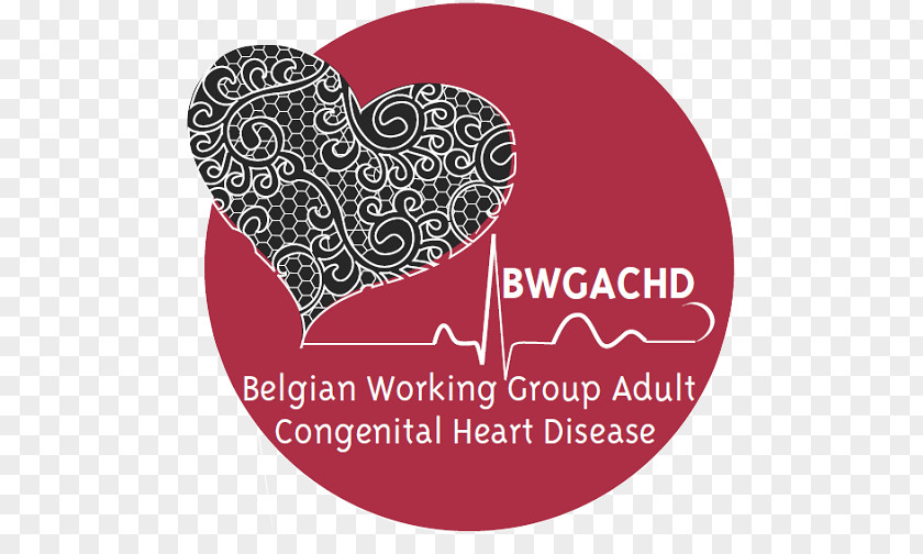 Heart All About Congenital Defect Cardiovascular Disease American Association PNG