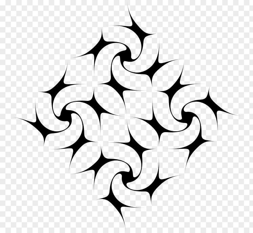 Line Petal Flowering Plant Art Symmetry Clip PNG