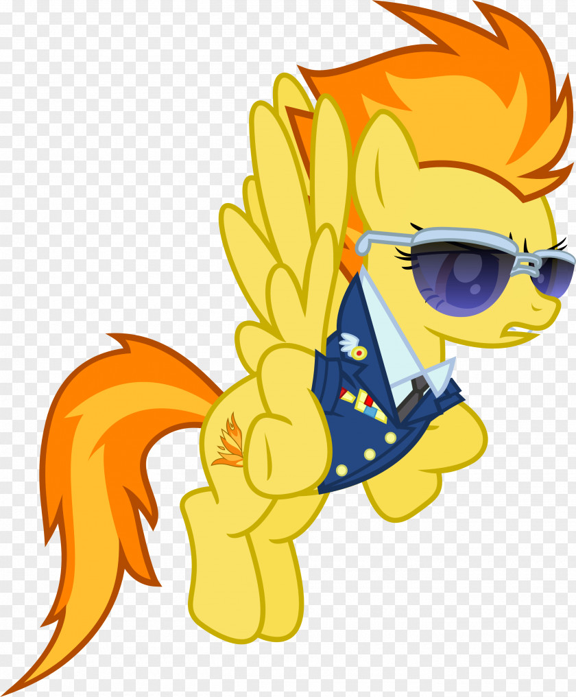 Pegasus Hair My Little Pony: Friendship Is Magic Fandom Rainbow Dash Rarity PNG