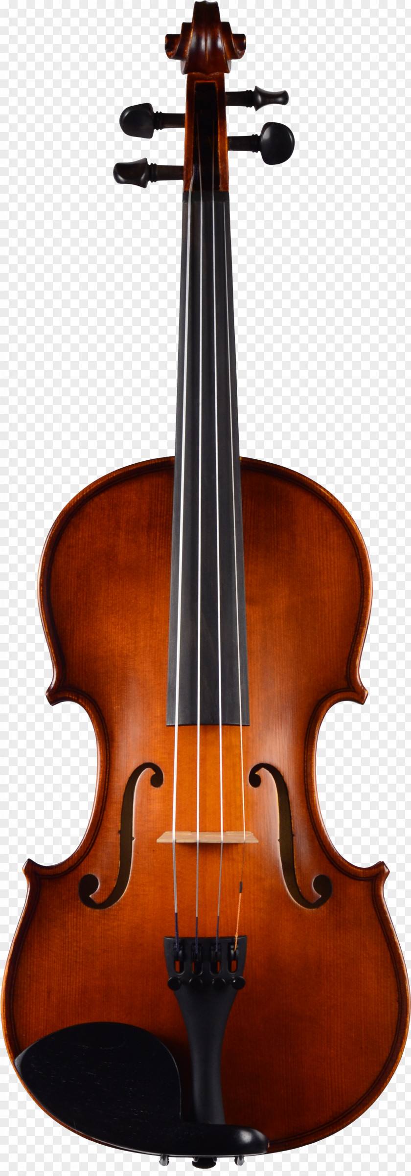 Violin Watercolor Family Viola Cello PNG