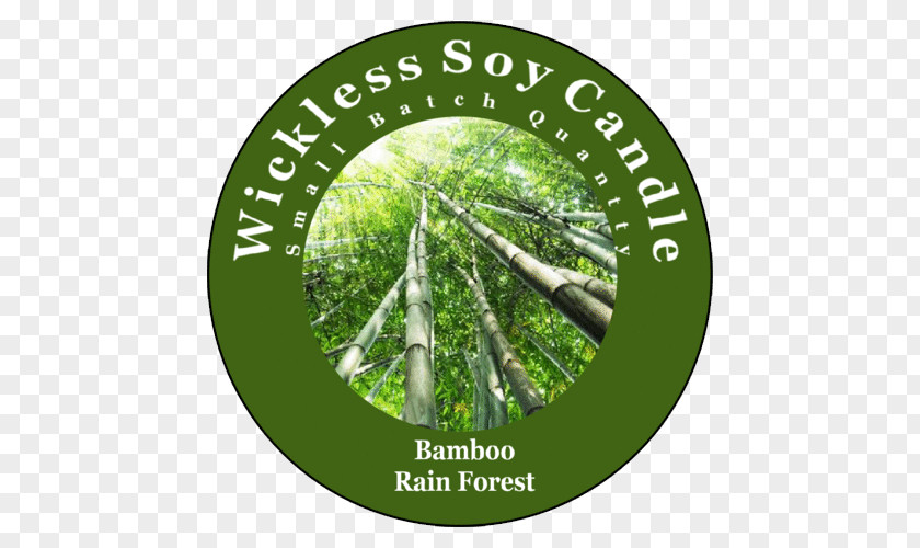 Bamboo Forest Soy Candle Light Air Fresheners Wax Melter PNG