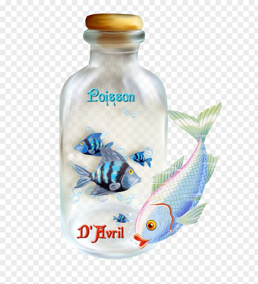 Bottle Fish In A Sushi & Grill Glass Clip Art PNG