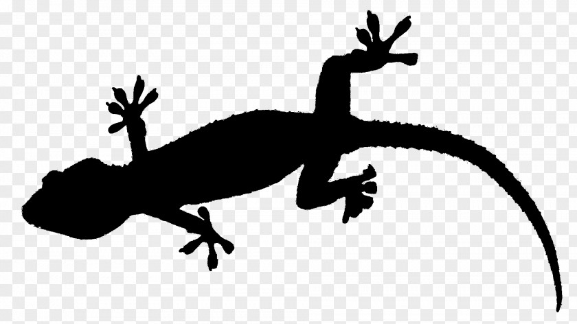 Gecko Frog Lizard Terrestrial Animal Fauna PNG