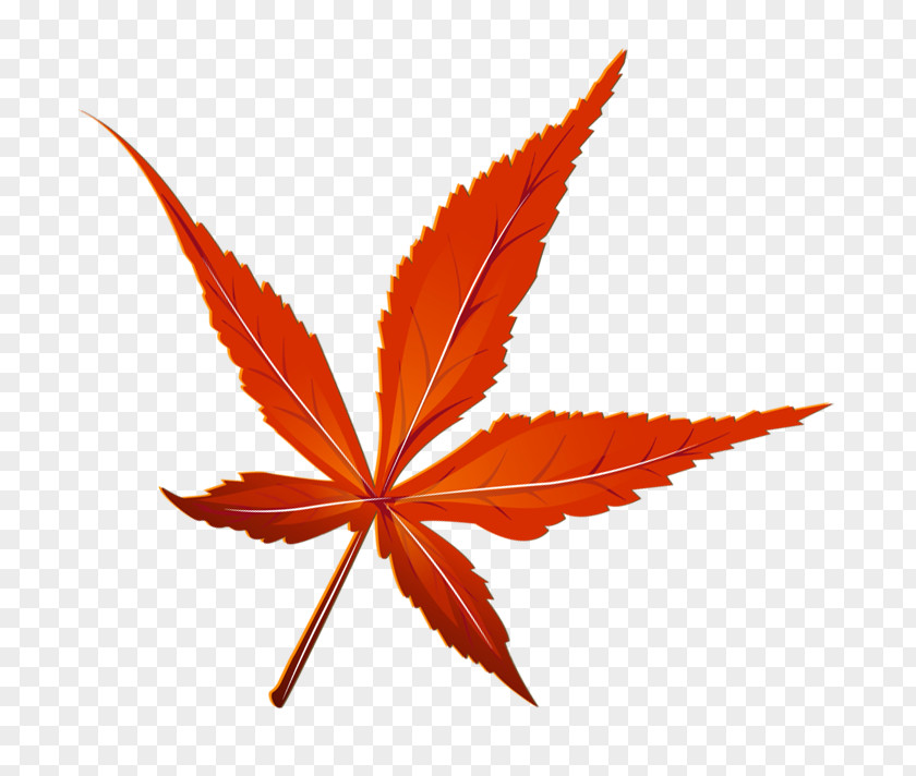 Red Leaves Autumn Leaf Color Clip Art PNG