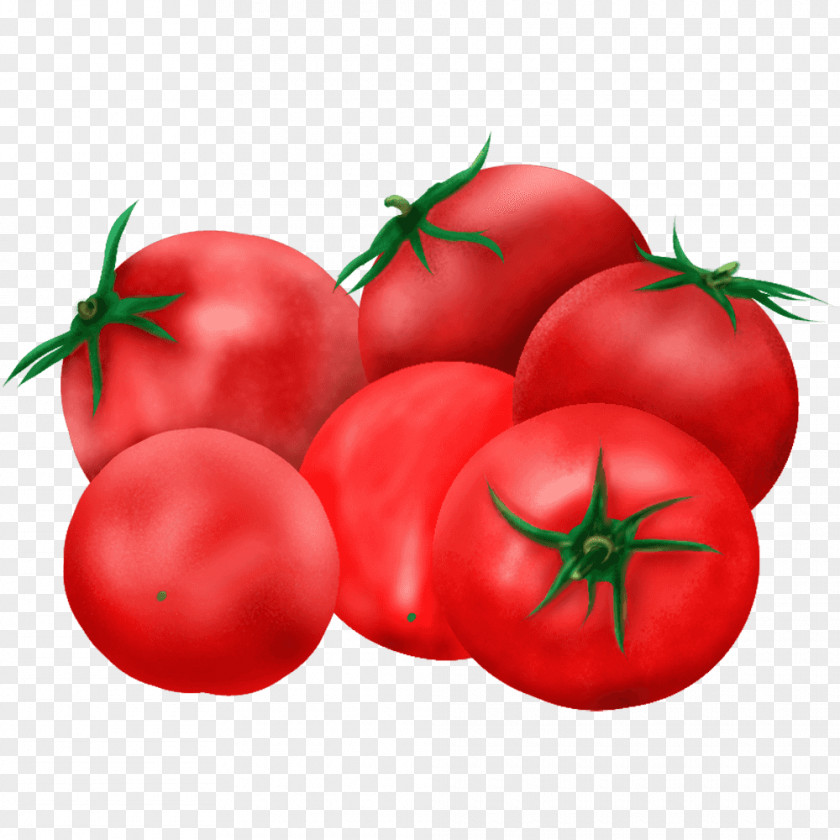 T-shirt Plum Tomato Bush Food PNG