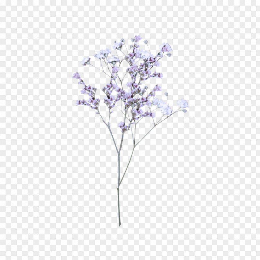 Tree Lilac Branch Plant Purple PNG