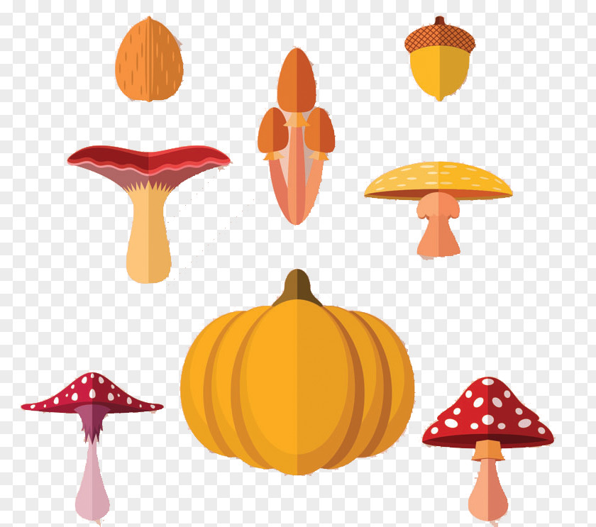 Vector Mushrooms Squash Autumn Poster Plant PNG