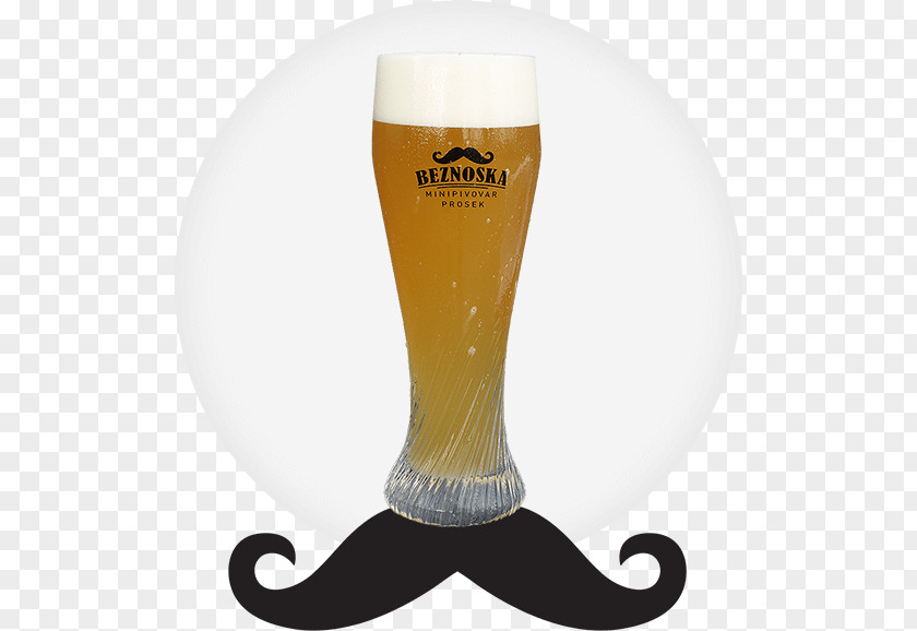 Beer Glasses Lager Brewery Style PNG