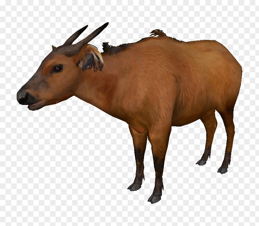 Buffalo Zoo Tycoon 2 Cattle Water American Bison African PNG