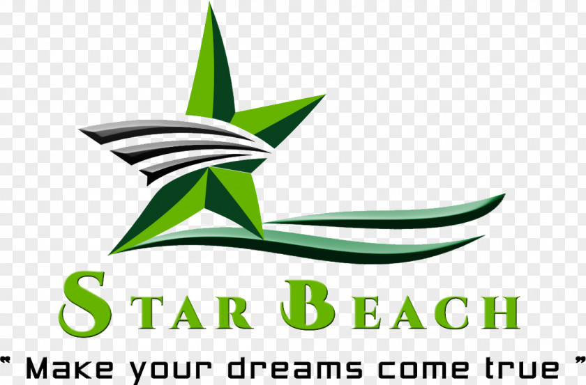 Business Star Beach Logo Marketing PNG