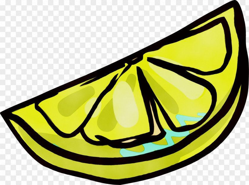 Butterflies Yellow Line Meter Lepidoptera PNG