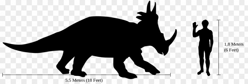 Dinosaur Styracosaurus Centrosaurus Triceratops Pentaceratops Vagaceratops PNG
