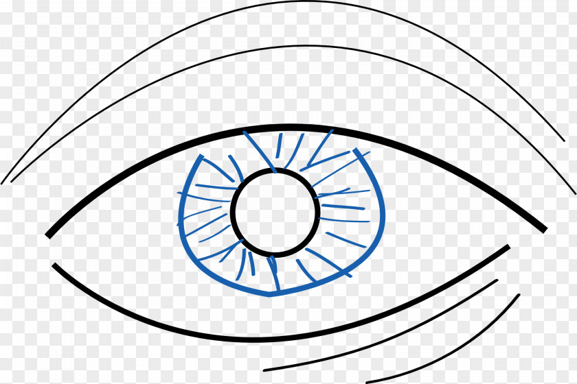 EYE CARE Eye Clip Art PNG