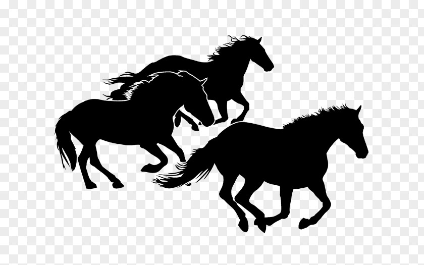 Horse Horseshoe Equestrian Pony Silhouette PNG