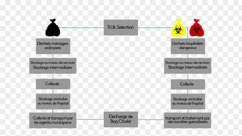 Medical Waste Sorting Hospitalist Management PNG