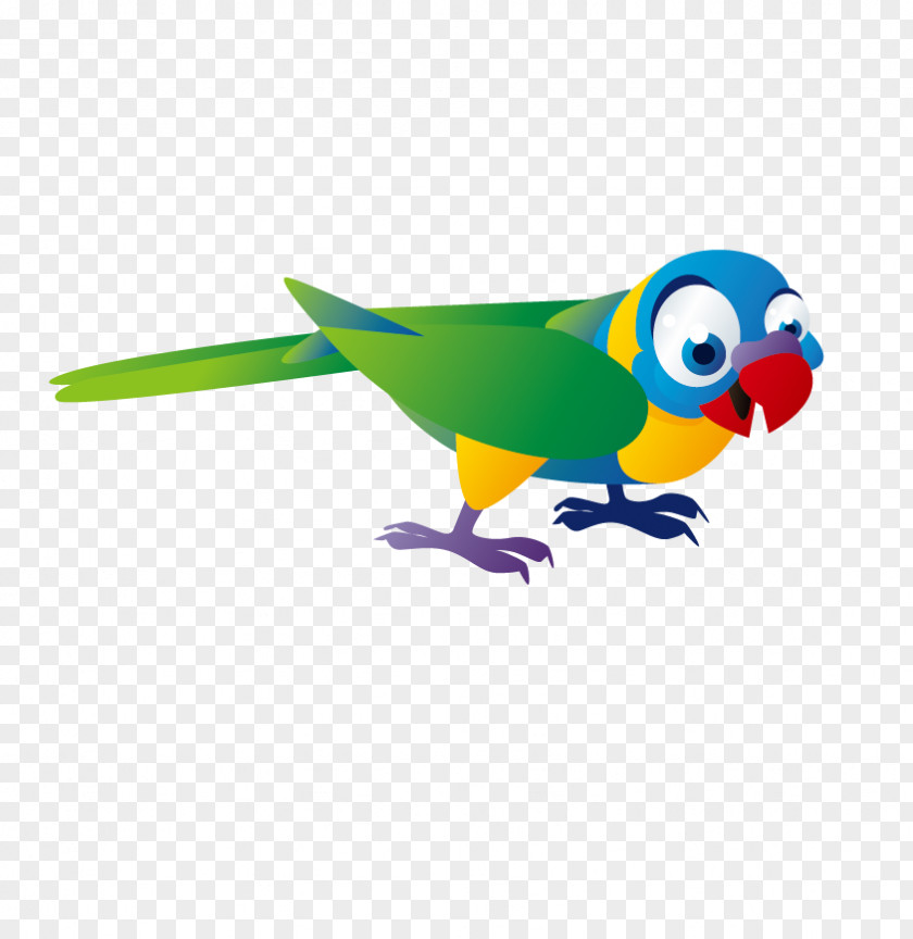 Parrot T-shirt Monk Parakeet Bxe1seu0148 Cuento Infantil Child PNG
