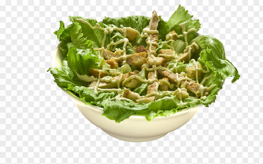 Salad Romaine Lettuce Caesar Waldorf Vegetarian Cuisine PNG