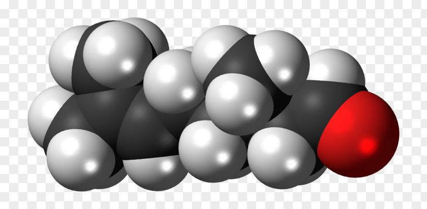 Space-filling Model 2-Hexanol Sphere 1-Hexanol Citronellol PNG